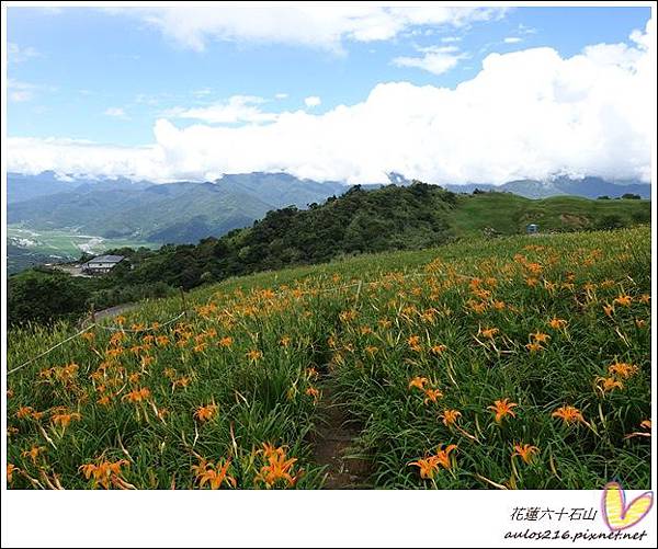 花蓮六十石山 (39).JPG