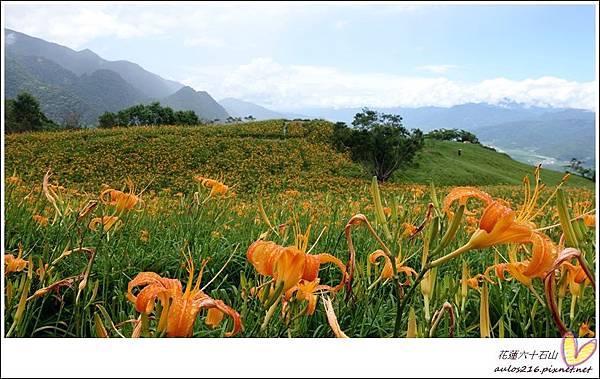 花蓮六十石山 (57).JPG