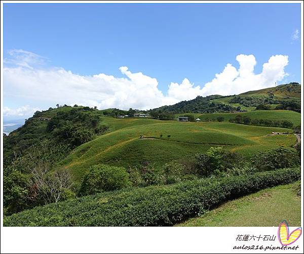 花蓮六十石山 (86).JPG