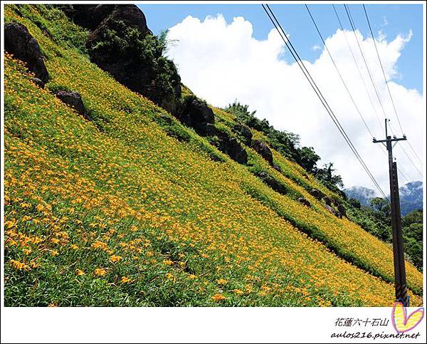 花蓮六十石山 (110).JPG