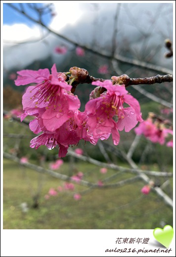 花東新年遊 (157).JPG