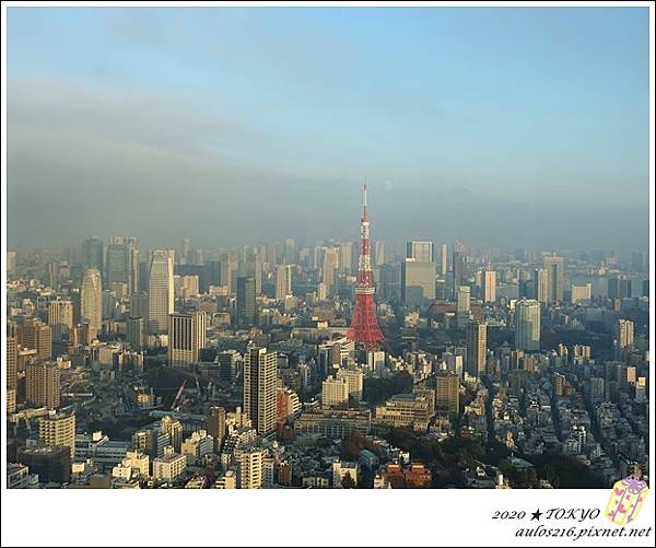 2020 TOKYO (155).JPG