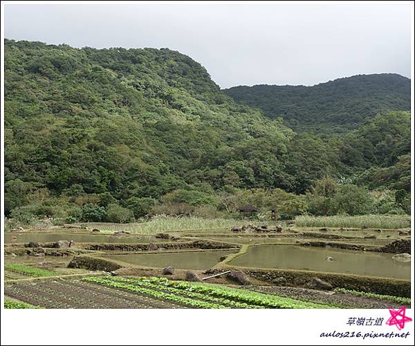 草嶺古道 (39).JPG