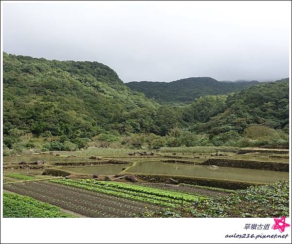 草嶺古道 (40).JPG