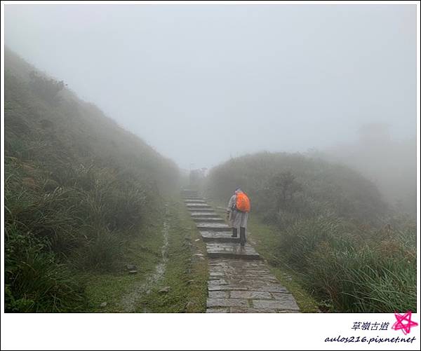 草嶺古道 (105).JPG