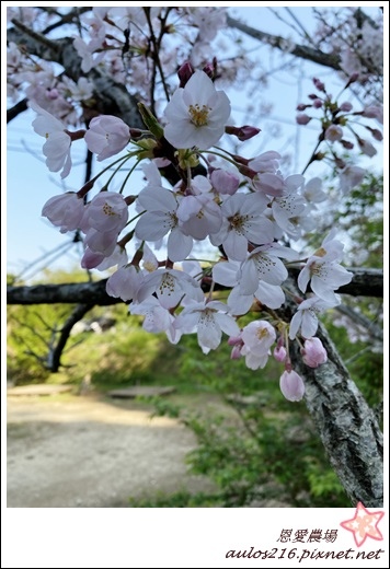 恩愛兩日遊 (305).JPG