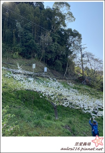 恩愛兩日遊 (345).JPG