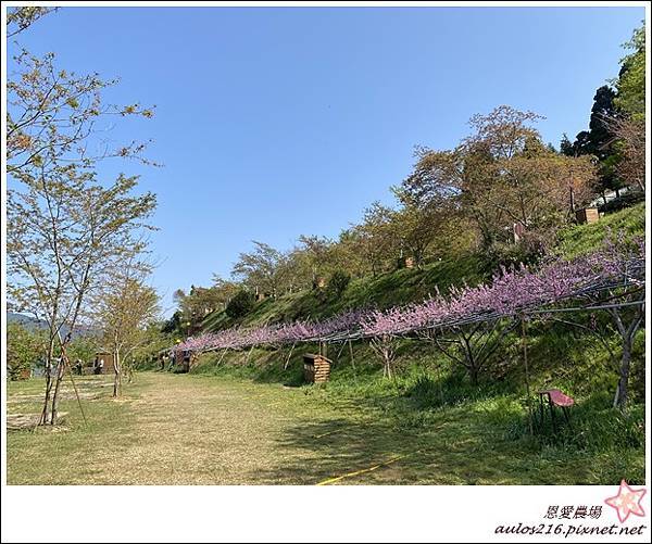 恩愛兩日遊 (355).JPG