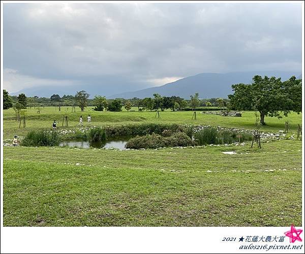 4月花蓮大富大農D3 (5).JPG