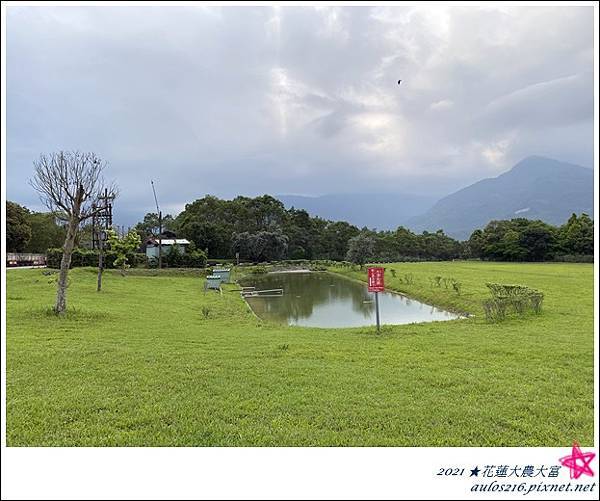 4月花蓮大富大農D3 (17).JPG