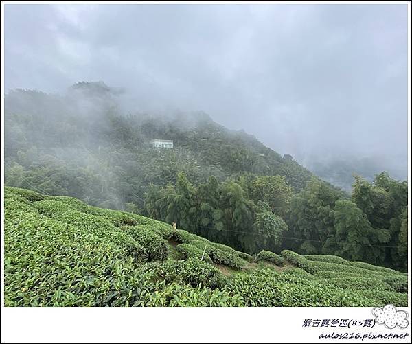 85麻吉露營區 (81).JPG