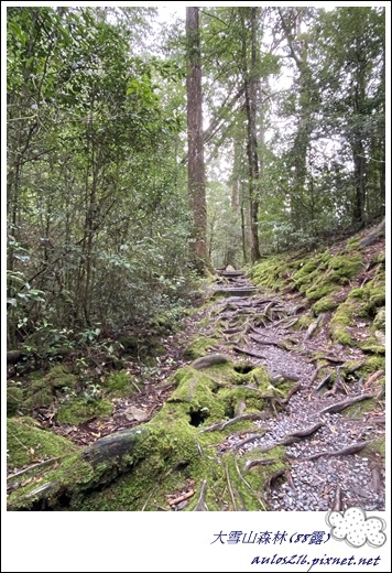 88六合繹、大雪山 (189).JPG