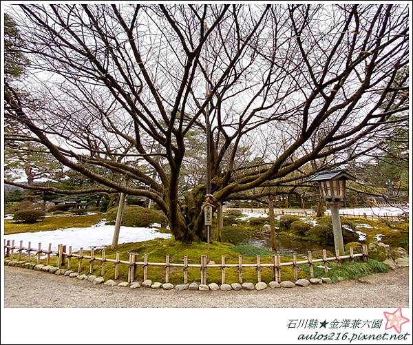 日本★石川縣.金澤兼六園D3