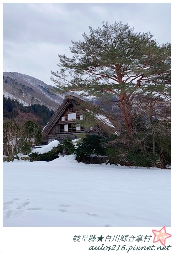 日本★岐阜縣.白川鄉合掌村D3