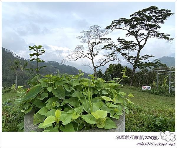 126淳風皓月露營區 (101).JPG