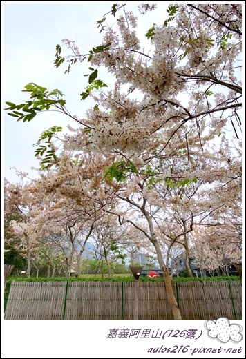 126淳風皓月露營區 (240).JPG