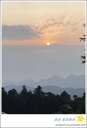 嘉義旅遊✿龍雲農場、櫻之道、霞之道