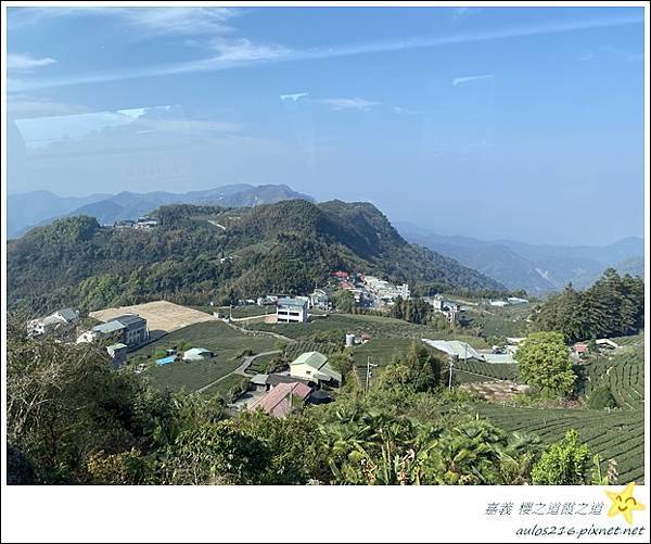 嘉義旅遊✿龍雲農場、櫻之道、霞之道