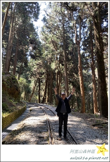 嘉義旅遊✿阿里山森林遊樂園區巡禮