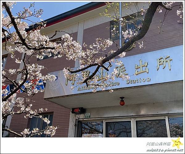 嘉義旅遊✿阿里山森林遊樂園區巡禮