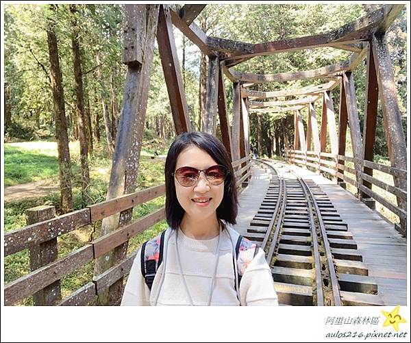 嘉義旅遊✿阿里山森林遊樂園區巡禮