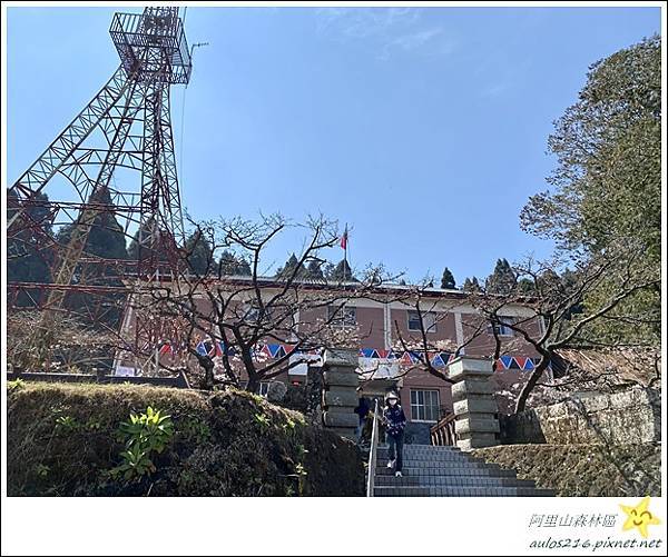 嘉義旅遊✿阿里山森林遊樂園區巡禮