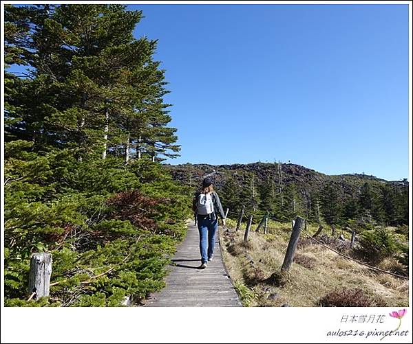 D3北八岳、松本城、大王山葵園   (369).JPG