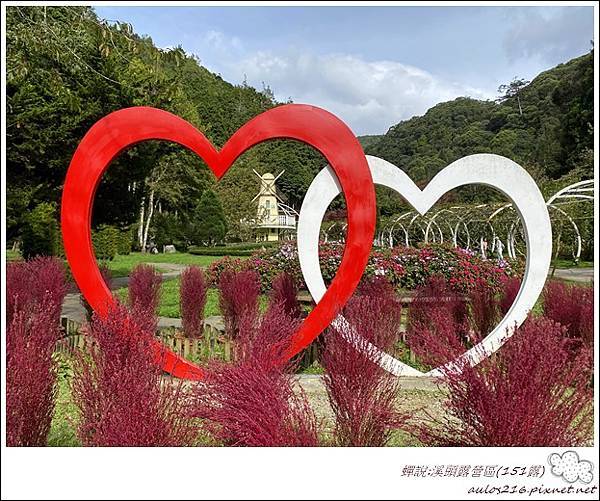 151-溪頭露營區 (135).JPG