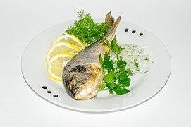 fish-762827__180.jpg fish-762827__180.jpg