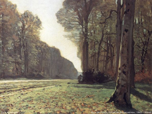 Claude Monet - Pave de Chailly ,Forest de Fontainebleau.jpg