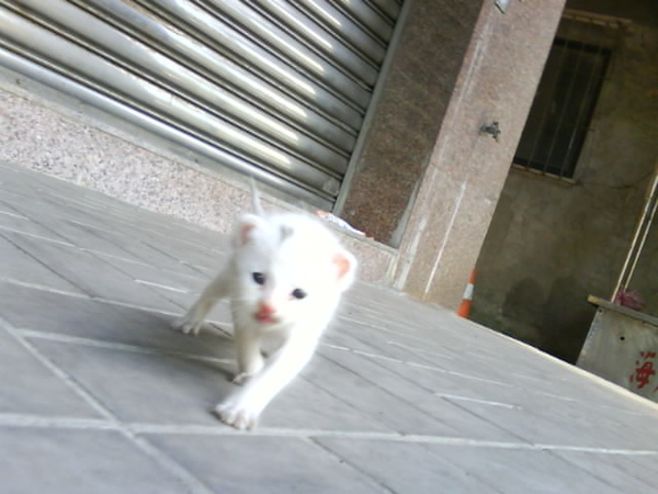 DSC00020.JPG