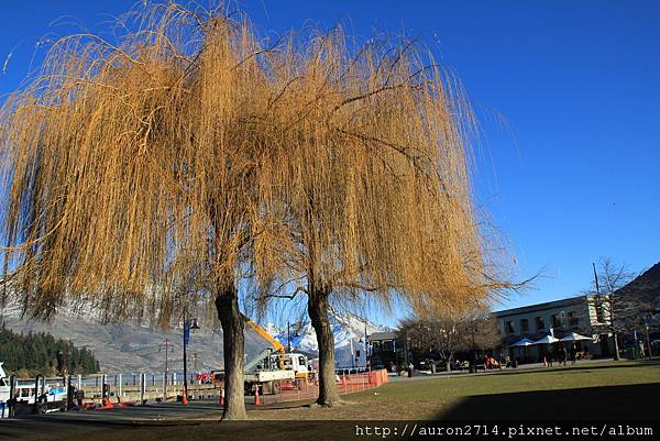 IMG_2581 IMG_2581