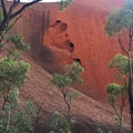 uluru kuniya.jpeg