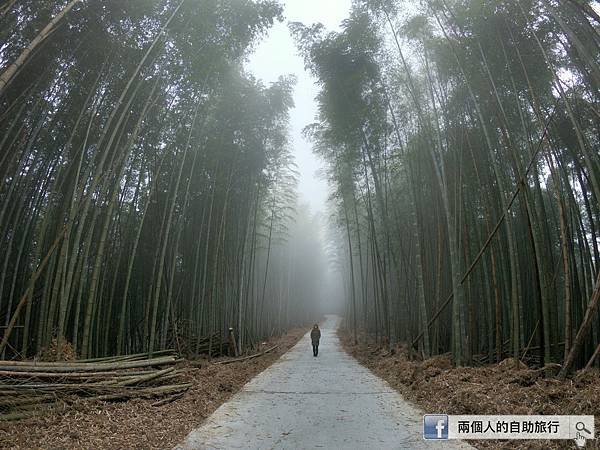 木馬古道 雲林.JPG