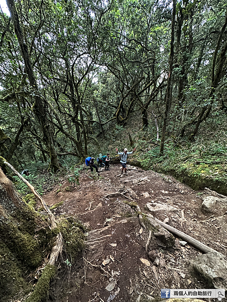 machame route hill.png