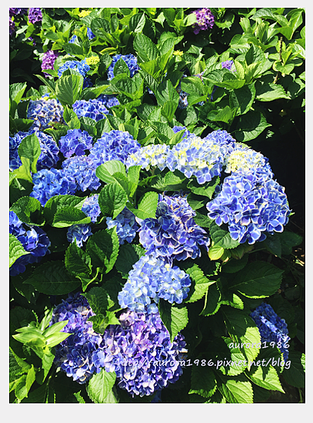 2016060603.png