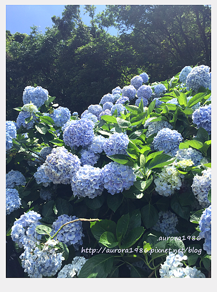 2016060607.png