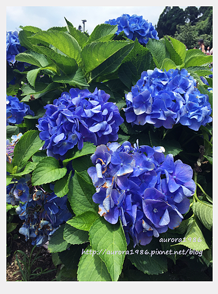 2016060609.png