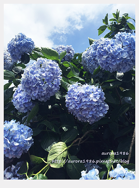 2016060611.png