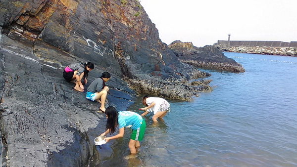來吧~~~炎熱的夏天-600.jpg 來吧~~~炎熱的夏天-600.jpg