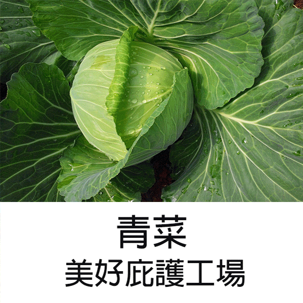 美好-01.gif 美好-01.gif