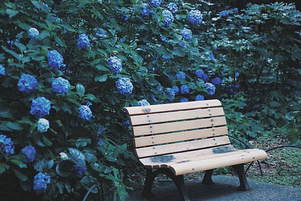 2019-07-10 08.53.21 2.jpg