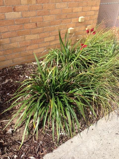 趣談台語 - 對事不對人！