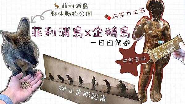 10 設計給帶孩子的你們的飛利浦島一日遊