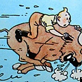 tintin003.jpg