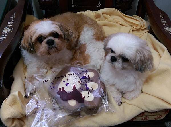 2014-10-18 11.05.55.jpg