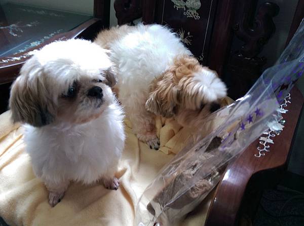 2014-10-18 14.41.21.jpg