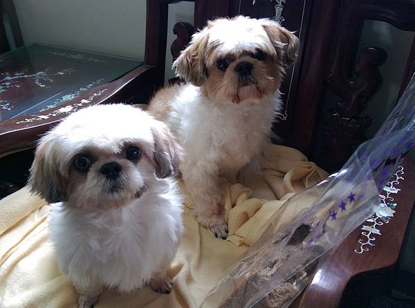 2014-10-18 14.41.24.jpg