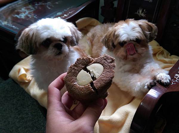 2014-10-18 14.42.06.jpg