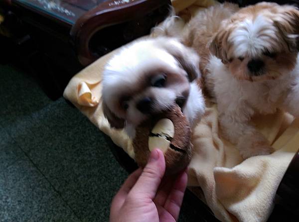 2014-10-18 14.42.10.jpg